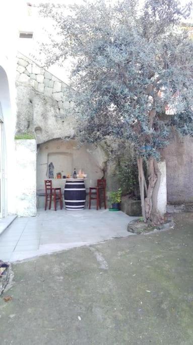 Appartamento In Pietra Di Tufo Verde Ischitana, Forio Forio di Ischia Dış mekan fotoğraf